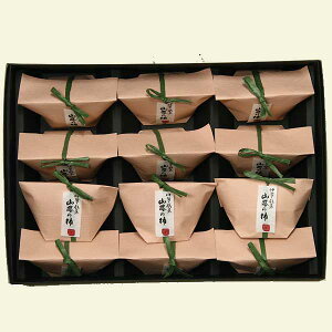 【秋冬限定】御年賀 ギフト 市田柿 贈り物 山路の柿 12個入 【2点以上 1,000円引き 対象】 創作 和菓子 干し柿 羊羹 贅沢 高級 贈答品 ご進物 お取り寄せ 内祝い 誕生日祝い 結婚祝い 手土産 お