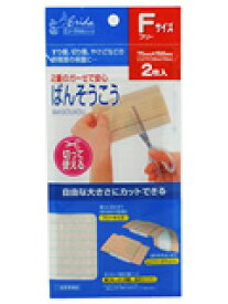 【本日楽天ポイント4倍相当!!】【送料無料】共立薬品工業切って使えるばんそうこうFサイズ　2枚【RCP】【△】【CPT】