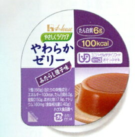 【本日楽天ポイント4倍相当】ハウス食品株式会社やさしくラクケアやわらかゼリー　みたらし団子味　66g×48個入（発送までに7～10日かかります・ご注文後のキャンセルは出来ません）【RCP】【CPT】