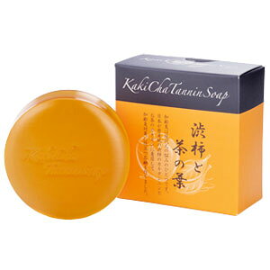 y{yV|Cg4{zyzx[^HiЃx[^EX^C`^j\[v@100g``aƒ̗t̐΂`yRCPzyz