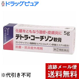 【メール便で送料無料 ※定形外発送の場合あり】【第(2)類医薬品】【本日楽天ポイント4倍相当】伊丹製薬株式会社テトラ・コーチゾン軟膏 (5g)