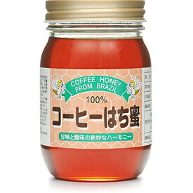 【本日楽天ポイント4倍相当】株式会社サンフローラ　コーヒーの花のはち蜜　[ビン入り]500g入×6本セット＜100％ブラジル産天然はちみつ・純正蜂蜜＞【RCP】【北海道・沖縄は別途送料必要】