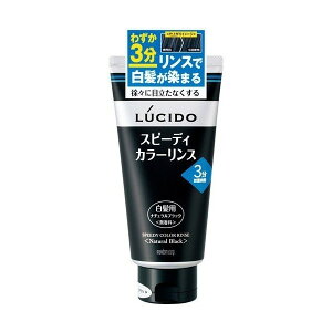 �y�{���y�V�|�C���g4�{�����z�y���������z�}���_�� ���V�[�h(LUCIDO)�X�s�[�f�B�J���[�����X �i�`�������u���b�N�@���e��160g �y���z�yCPT�z