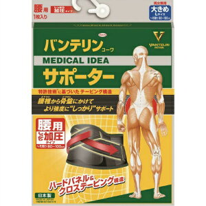 aV򊔎ЃoeR[T|[^[ p ^Cv 傫 ubNi1jł獜ՂɂĂT|[gyCPTz