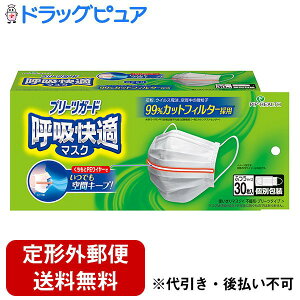 【本日楽天ポイント4倍相当】【定形外郵便で送料無料でお届け】ピップ株式会社プリーツガード 呼吸快適マスク ふつう 個別包装タイプ 30枚【RCP】【TK450】