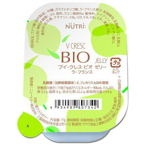 y{yV|Cg4{zyzj[g[ЃuCENXBIOirIj[[ EtX 77g×30yDz