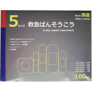 y{yV|Cg4{zoe[v򊔎Ё@5TCY@~}΂񂻂@ 1m5TCYA\[g100n{@S̍Y@~}JnpyʈË@zykC