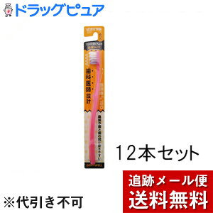 �y�{���y�V�|�C���g4�{�����z�y���[���ւő������� ����`�O�����̏ꍇ����z�吳����f���g�E�F���@����҂���150�R��^�C�v�ӂ��@12�{����艜���⎕�Ǝ��̊Ԃ𖁂��₷����[�i���R