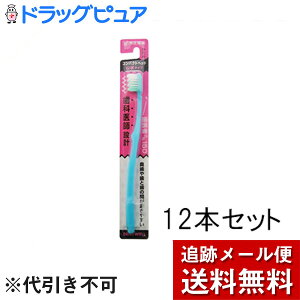 �y�{���y�V�|�C���g4�{�����z�y���[���ւő������� ����`�O�����̏ꍇ����z�吳����f���g�E�F���@����҂���150�R��^�C�v�����߁@12�{����艜���⎕�Ǝ��̊Ԃ𖁂��₷����[�i���R