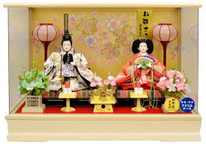 yЂȐl`zeP[Xykz223-KT-240@PVR؃ANP[XIIS[ʐ^āE[ZtЂȍՂ肪؂₩ɂȂ܂B