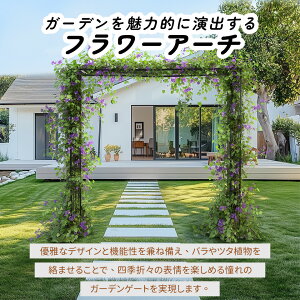 ガーデンアーチ ローズアーチ 園芸 ガーデニング用品 ガーデン ファニチャー スチール 鉄製 薔薇アーチ 外 園芸用品 アーチ ガーデニング 花立て 庭園 おしゃれ