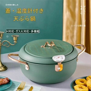 天ぷら鍋 てんぷら鍋 揚げ物 鍋 揚げ物用鍋 揚げ鍋 IH 天ぷら鍋 蓋付 温度計付 両手天ぷら鍋 油切りラック付 20cm 電磁炉 電気ストーブ
