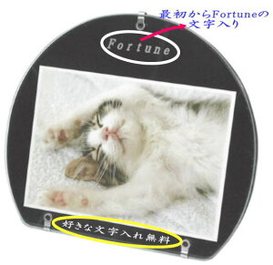 y z KXVۃtHgt[ i LTCY jybg  L v[g  tHgt[ j LO NX}X v[g o[XfB oYj ̓ ̓