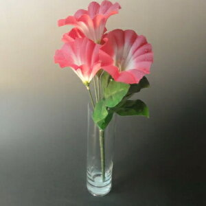 hV̓   ԕr ی^Xg[g ւ  v[g ی^ Xg[g ւ Mtg ThuXg Gb`O  j EGfBO LOi v[g 