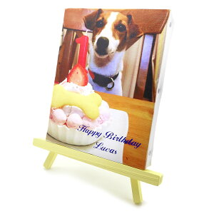 名入れ キャンバスフォト キャンバス写真 フォトパネル 記念盾 キャンバスカラープリント ウェルカムボード フォトフレーム ウォールキャンバス インテリアキャンバス 名前入り 贈り物 プ