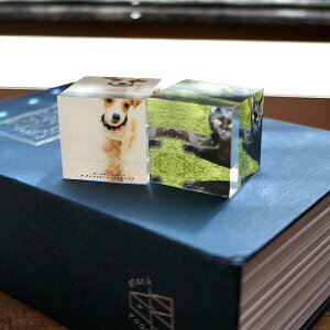 名入れ アクリルフォトプリント アクリルブロック アクリルキューブ 30mm×30mm ペーパーウエイト ペット 位牌 メモリアル フォトフレーム バレンタイン 誕生日 贈り物 名前入り プレゼント ギ
