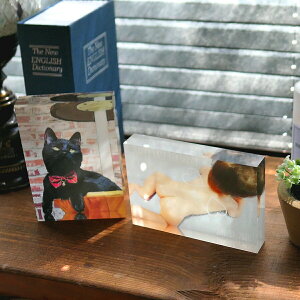  AN ANtHgvg ANubN ubN L[u LO 89mm×127mm×20mm o^C a 蕨 O tHgt[ v[g Mtg LO ƋL