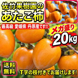 柿 かき あたご柿 《佐竹果樹園のあたご柿》約 20kg 大玉限定 (L〜3Lサイズ混合) よさ来い監修 愛宕柿 愛媛県 丹原産 干し柿 用 渋柿 枝付渋柿 干し柿 つるし柿 あんぽ柿 さらし柿用 【メガ盛り　あたご柿　20キロ】《 11月中旬より ご注文順に発送》
