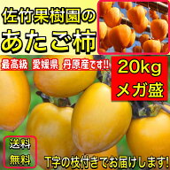 柿 かき あたご柿 《佐竹果樹園のあたご柿》約 20kg 大玉限定 (L〜3Lサイズ混合) よさ来い監修 愛宕柿 愛…