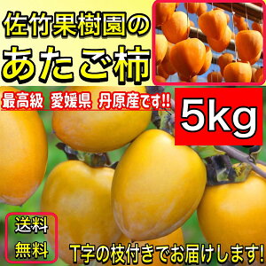 `  ` s|ʎ̂`t 5kg ʌ (L`3LTCY) 悳ďC ` Q OY ` p a` }ta` ` 邵` ۊ` 炵`p@y