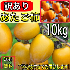 󂠂 ` iLYEXEPEw^XLj `a`  10kg ` `  Q OY }t 11{育y󂠂 `@10Lz