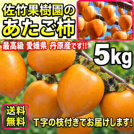 柿 かき あたご柿 《佐竹果樹園のあたご柿》約 5kg 大玉限定 (L〜3Lサイズ混合) よさ来い監修 愛宕柿 愛媛県 丹原産 干し柿 用 渋柿 枝付渋柿 干し柿 つるし柿 あんぽ柿 さらし柿用　【あたご柿　5キロ】《 11月中旬より ご注文順に発送》