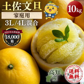 文旦 土佐文旦 4L 3L 混合サイズ 大玉 限定 ご家庭用(贈り物にも) 10kg 高知県産 露地土佐文旦 送料無料 ぶんたん 3L 4L 【家庭用10キロ　4L3L混合　土佐文旦 】《2月中旬よりご注文順に発送》