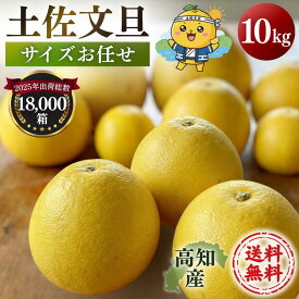 文旦 土佐文旦 10kg サイズお任せ（約20〜30玉）訳あり ご家庭用 10キロ 高知県産 露地土佐文旦 送料無料 ぶんたん 【サイズお任せ10キロ　土佐文旦】《2営業日以内に発送》
