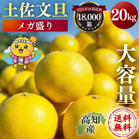 土佐文旦 メガ盛 20kg （10kg×2箱） 高知県産 文旦 大玉4L3L 混合 ご家庭用 ぶんたん 露地土佐文旦 訳あり 【メガ盛20kg（4L〜3L混合）土佐文旦】《2営業日以内に発送》