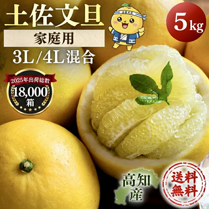 楽天市場】文旦 土佐文旦 4L〜3L混合 大玉 限定 5kg （約10玉前後入り 