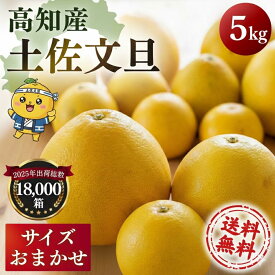 文旦 土佐文旦 5kg サイズお任せ（約12〜17玉）訳あり ご家庭用 高知県産 露地土佐文旦 送料無料 ぶんたん 【サイズお任せ5キロ　土佐文旦】《2営業日以内に発送》