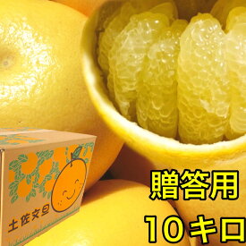 土佐文旦 高知県産 文旦 大玉 4L または 3L 10kg ぶんたん 露地土佐文旦 10キロ 【◆贈答用10キロ◆　4Lまたは3L 土佐文旦】