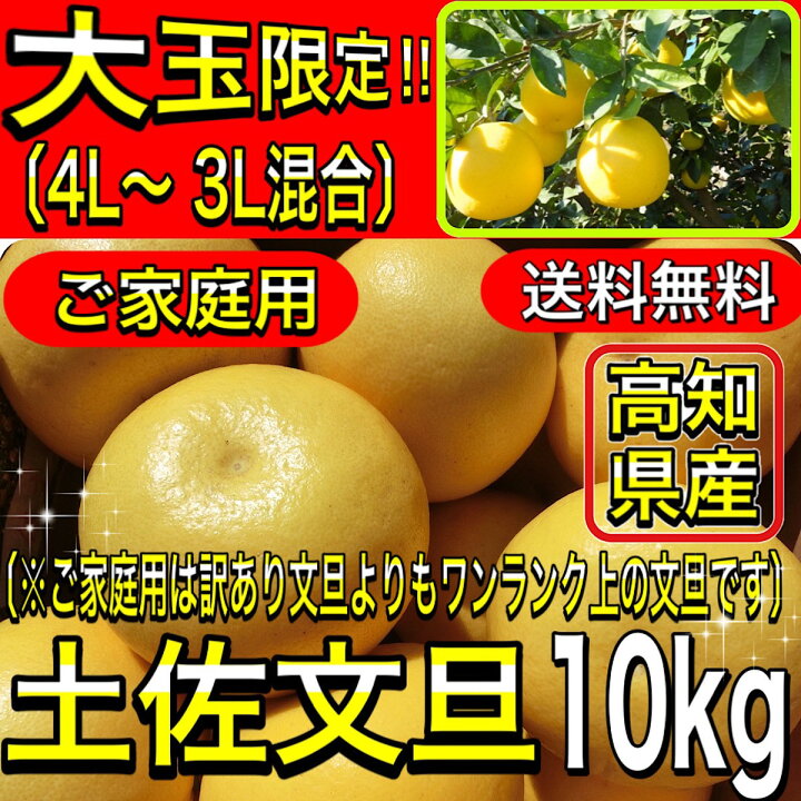 楽天市場】文旦 土佐文旦 4L 3L 混合サイズ 大玉 限定 ご家庭用(贈り物 