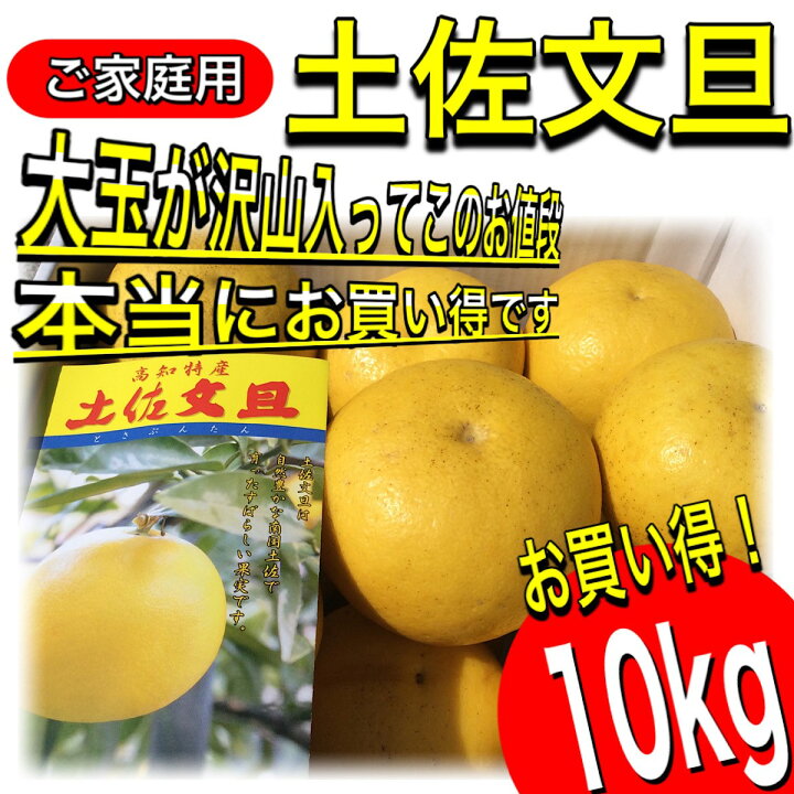 楽天市場】文旦 土佐文旦 4L 3L 混合サイズ 大玉 限定 ご家庭用(贈り物 