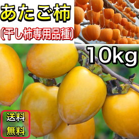 楽天市場 干し柿用渋柿の通販