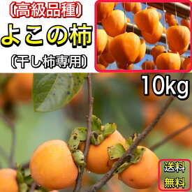 柿 かき よこの柿 (横野柿) 愛媛県 丹原産 干し柿 用 渋柿 約 10kg 枝付渋柿 干し柿 つるし柿 あんぽ柿 さらし柿用 【よこの柿　10キロ】《11月下旬よりご注文順に発送》