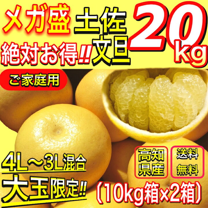 楽天市場】土佐文旦 メガ盛 20kg （10kg×2箱） 高知県産 文旦 大玉 