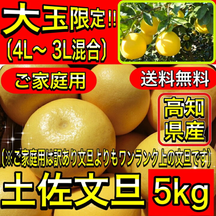 93.高知特産 露地栽培 土佐文旦 4L限定 文旦 約20kg 大玉 サイズ 楽天 