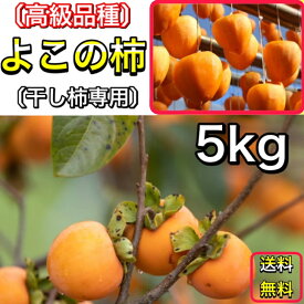 柿 かき よこの柿 (横野柿) 愛媛県 丹原産 干し柿 用 渋柿 約 5kg 枝付渋柿 干し柿 つるし柿 あんぽ柿 さらし柿用 【よこの柿　5キロ】《11月下旬よりご注文順に発送》