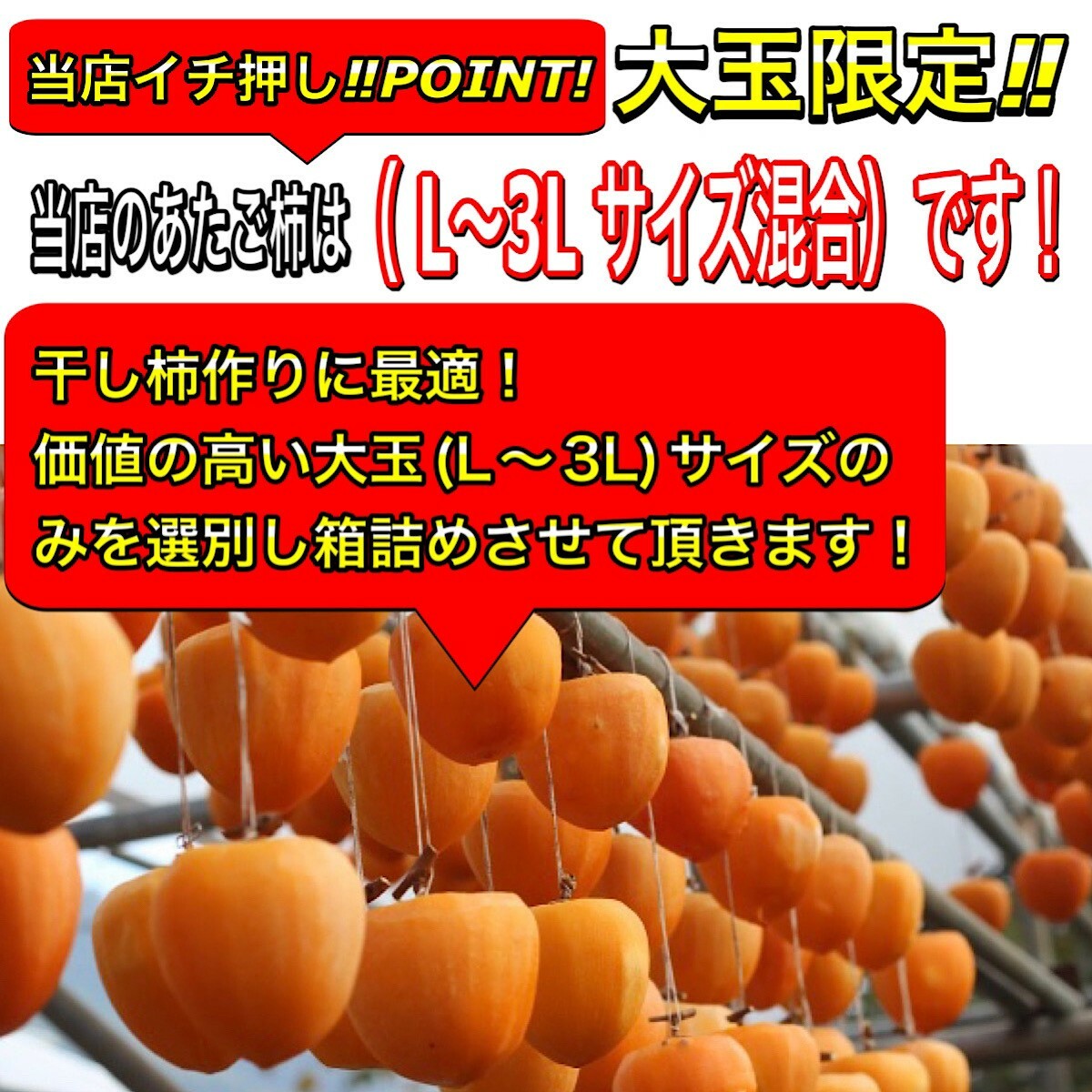 愛媛県産❕渋柿『あたご柿』10kg