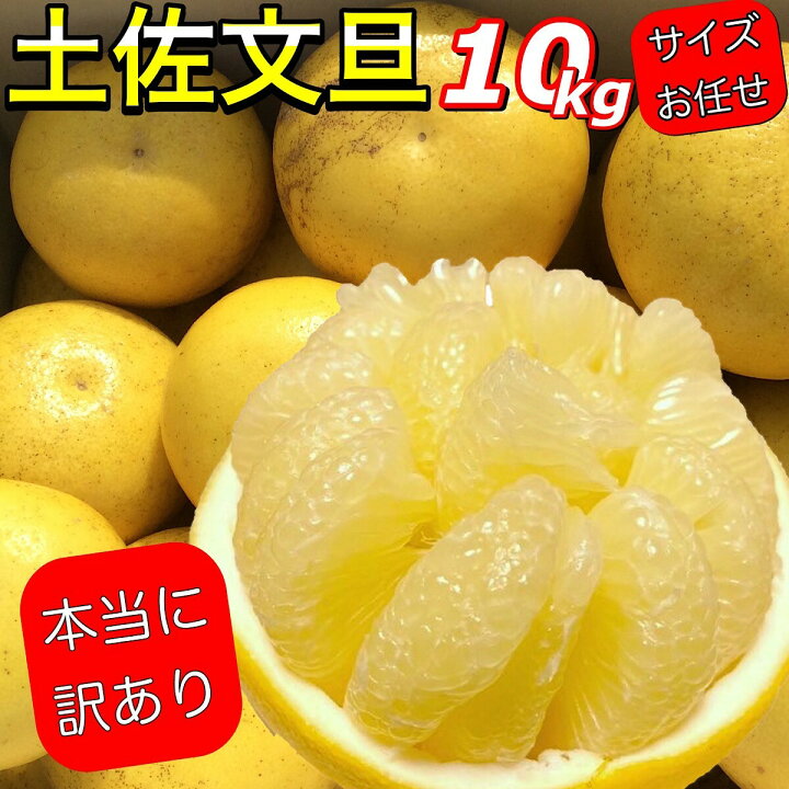 楽天市場】文旦 《本当に訳あり》 土佐文旦 10kg サイズお任せ (約20 