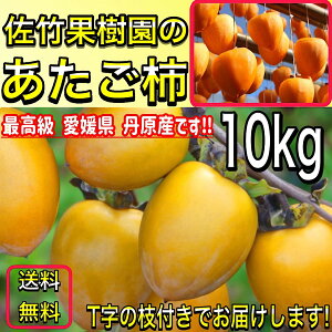 `  ` s|ʎ̂`t 10kg ʌ (L`3LTCY) 悳ďC ` Q OY ` p a` }ta` ` 邵` ۊ` 炵`p y`