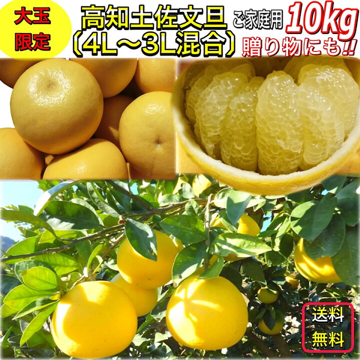 楽天市場】文旦 土佐文旦 4L 3L 混合サイズ 大玉 限定 ご家庭用(贈り物 