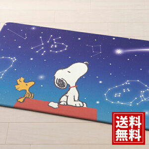 s[ibc PVCO}bg 120cm yz Xk[s[ CeA 킢 LN^[ j oYj j Cj j oYj zj o Ԃ a