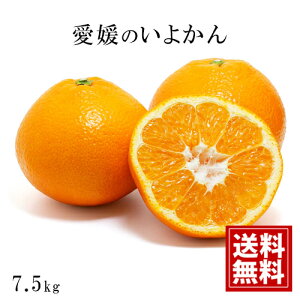 y󂠂zYn QYy8kgz悩yz