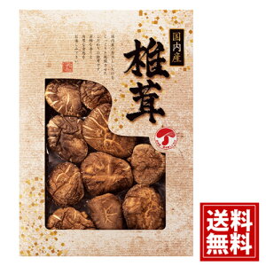 ǂ񂱒ő  MtgZbg yYzyzTԂ VC^P    j Mtg yY  j A Cj Ԃ v[g JMD-20IN