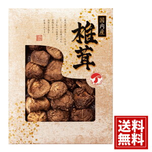 ǂ񂱒ő  MtgZbg yYzyzTԂ VC^P    j Mtg yY  j A Cj Ԃ v[g JMD-30IN