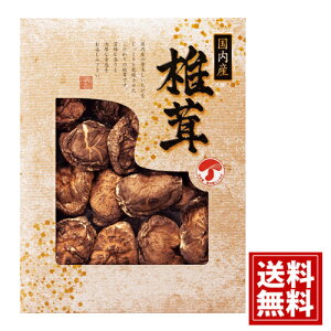 ǂ񂱒ő  MtgZbg yYzyzTԂ VC^P    j Mtg yY  j A Cj Ԃ v[g JMD-40W