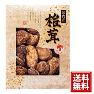 ǂ񂱒ő  MtgZbg yYzyzTԂ VC^P    j Mtg yY  j A Cj Ԃ v[g JMD-50IN