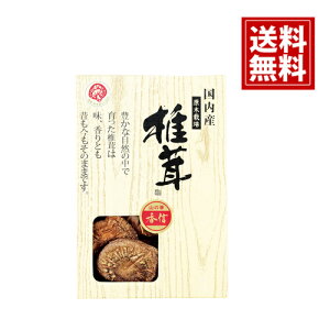 ؂ǂ񂱒ő MtgZbg yYzyzTԂ VC^P    j Mtg yY  j A Cj Ԃ v[g YS-10N3